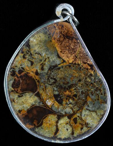 Moroccan Ammonite Fossil Pendant #58399